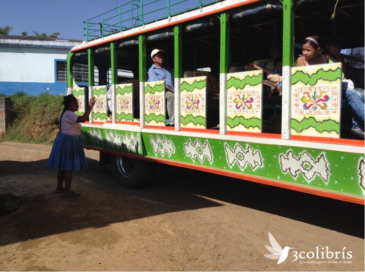 Chiva nariñense 3colibris