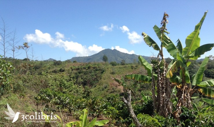 Galeras p1 3colibris