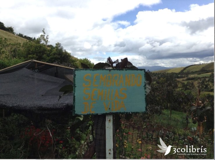 Huerta Nariño p1. 3colibris