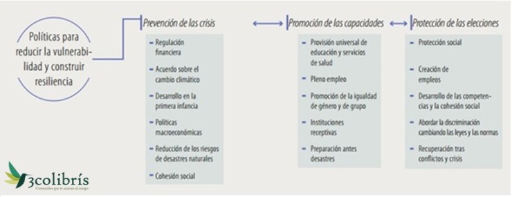 Informe de Desarrollo Humano 3colibris