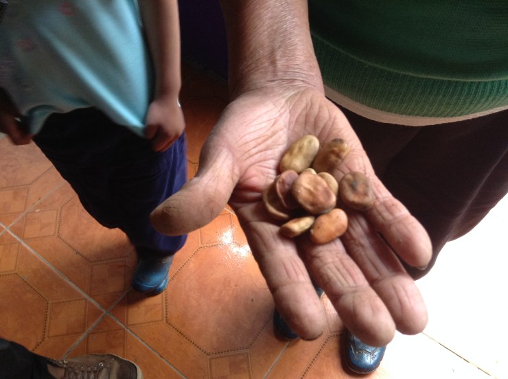 Viajes 2013- 2015 1199