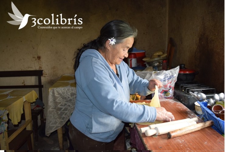 Campesina nariñense p.3 3colibris