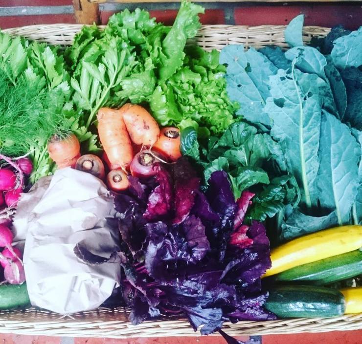 Madrigera Verde 03.jpg