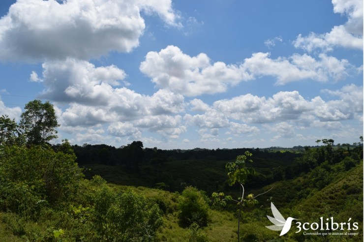 Magdalena Medio p. 1