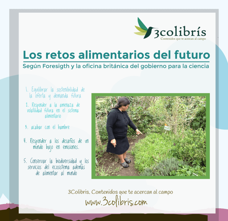 Infografía alimentos.png