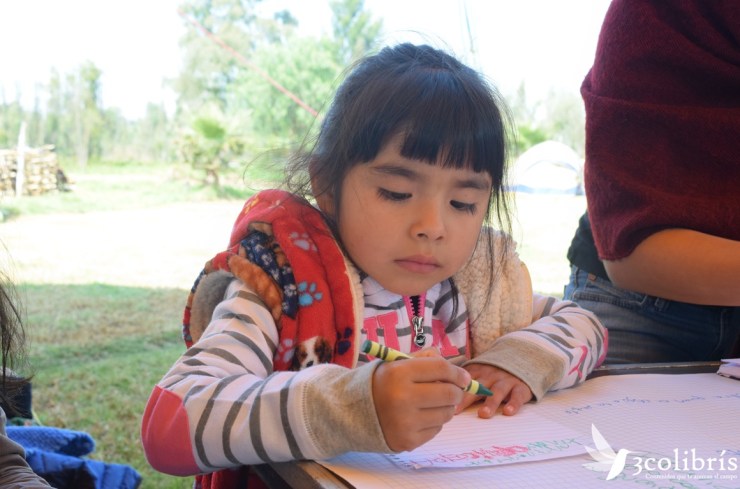 encuentro red de semillas de las americas 3.jpg