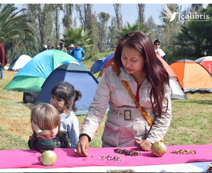 encuentro red de semillas de las americas 4.jpg