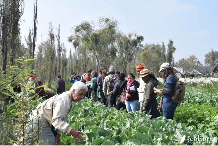 encuentro red de semillas de las americas 5.jpg