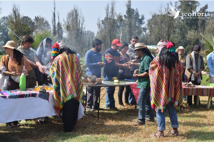 encuentro red de semillas de las americas 6.jpg