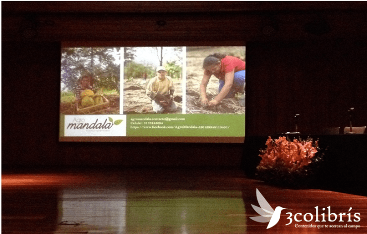 nota de prensa 2.png