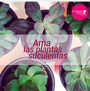 microvegetales 7.png