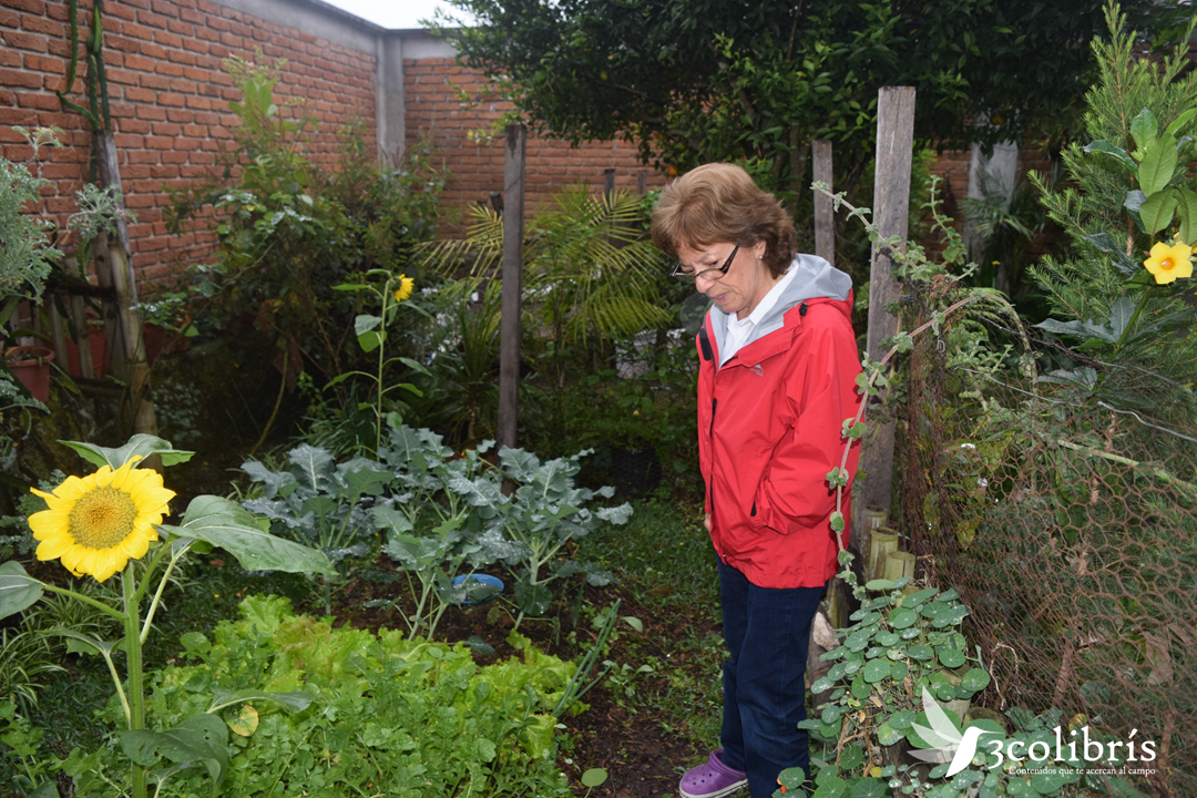 Jalapa huerta urbana 1.png