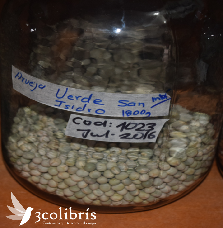 Red de semillas colombia 3