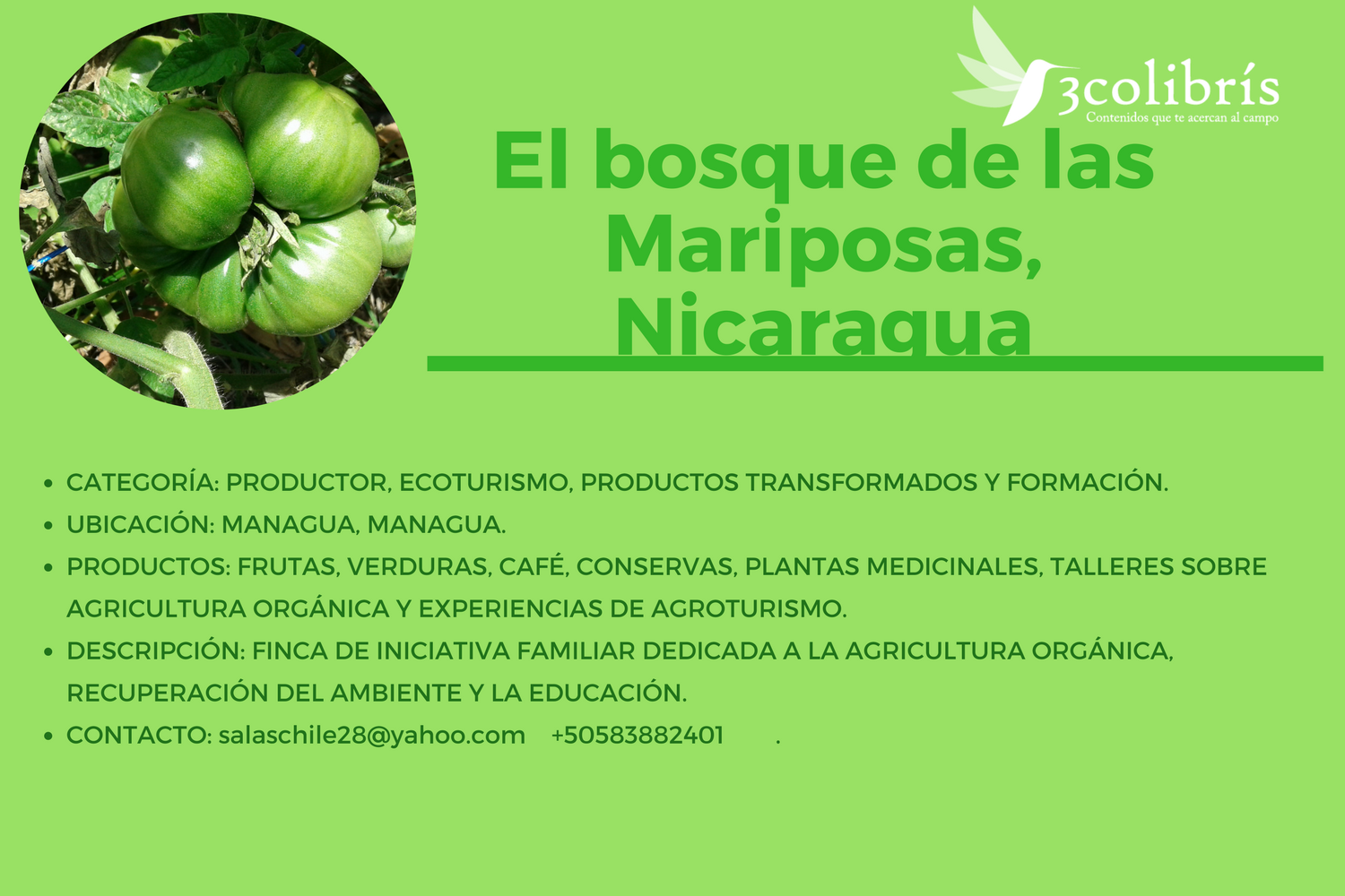 Agromandala, Colombia. (3)