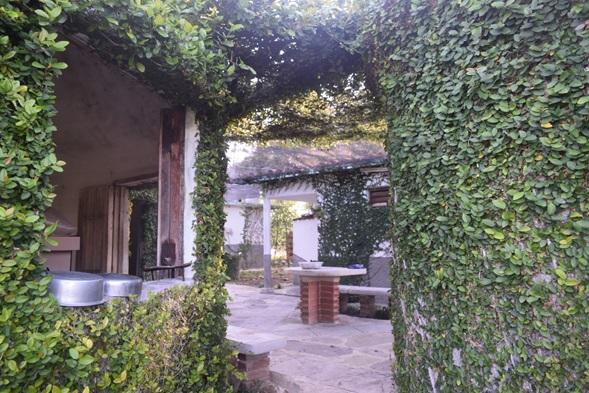 finca del medio5.jpg