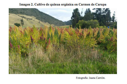 Captura de pantalla 2018-02-20 a las 21.29.23