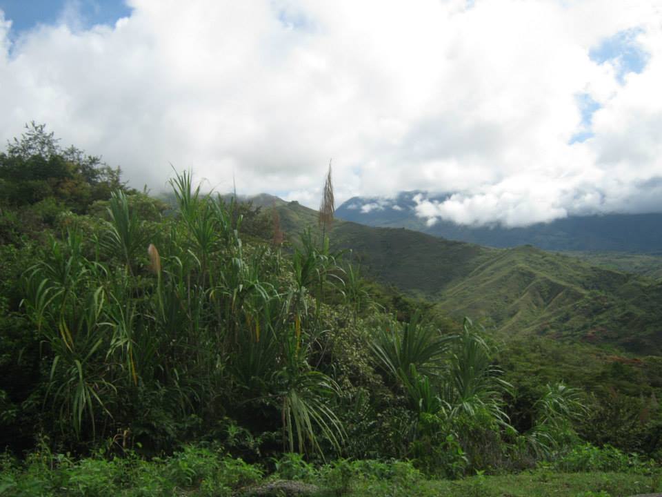 10600517_1449521531996808_2059477215997692489_n