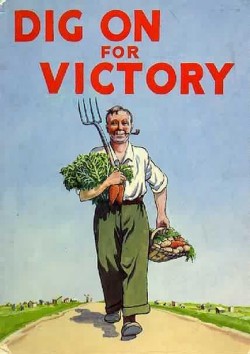 digonforvictory-mini