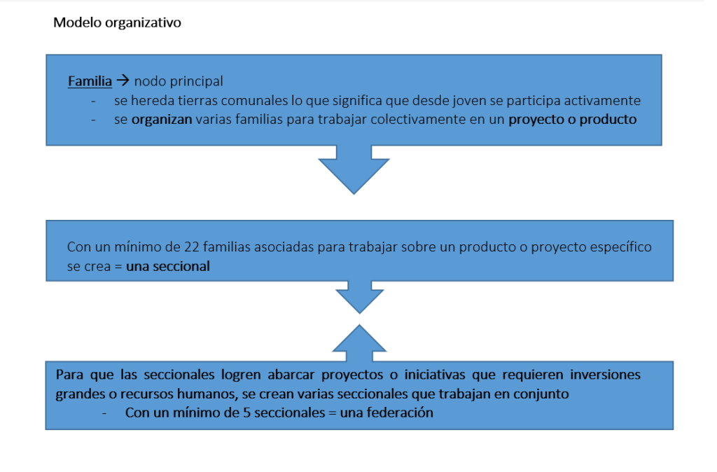 Text Box: Familia à nodo principal 
-	se hereda tierras comunales lo que significa que desde joven se participa activamente
-	se organizan varias familias para trabajar colectivamente en un proyecto o producto

