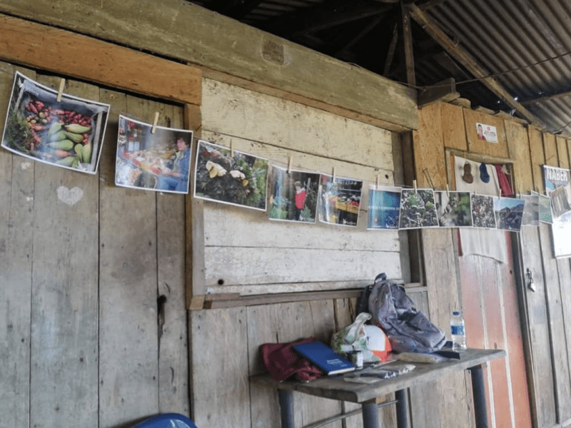 Llamamiento por la Vida para salvaguardar la construcción de la Paz&nbsp;Total